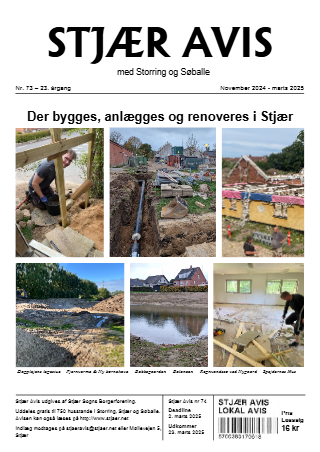 Forsiden af Stjær Avis - Nr. 73, 23. Årgang