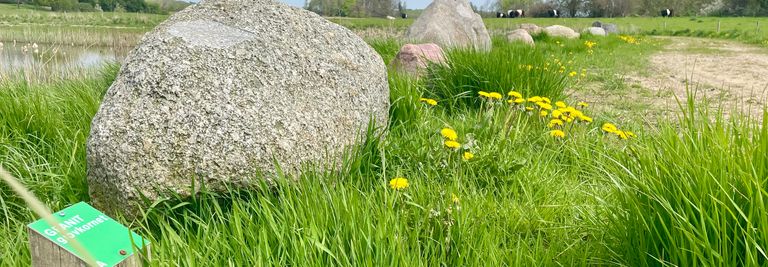 Stensamlingen ved Målundegård Engsø